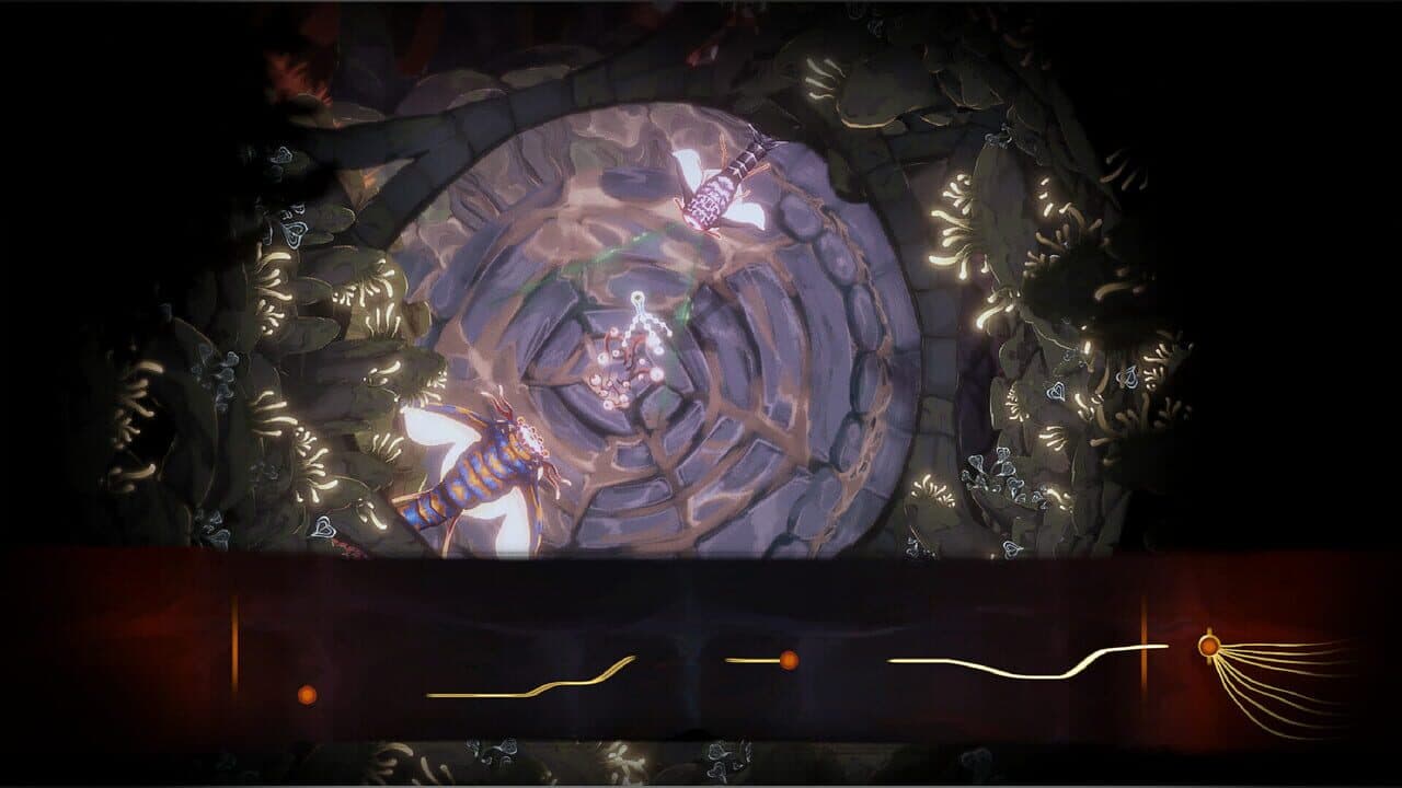 Wavekin thumbnail 4