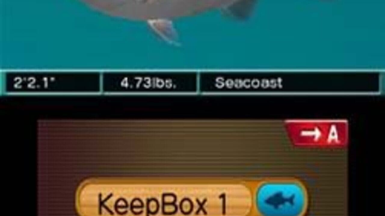Reel Fishing Paradise 3D thumbnail 4