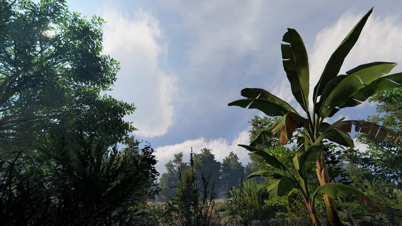 Impunes thumbnail 7