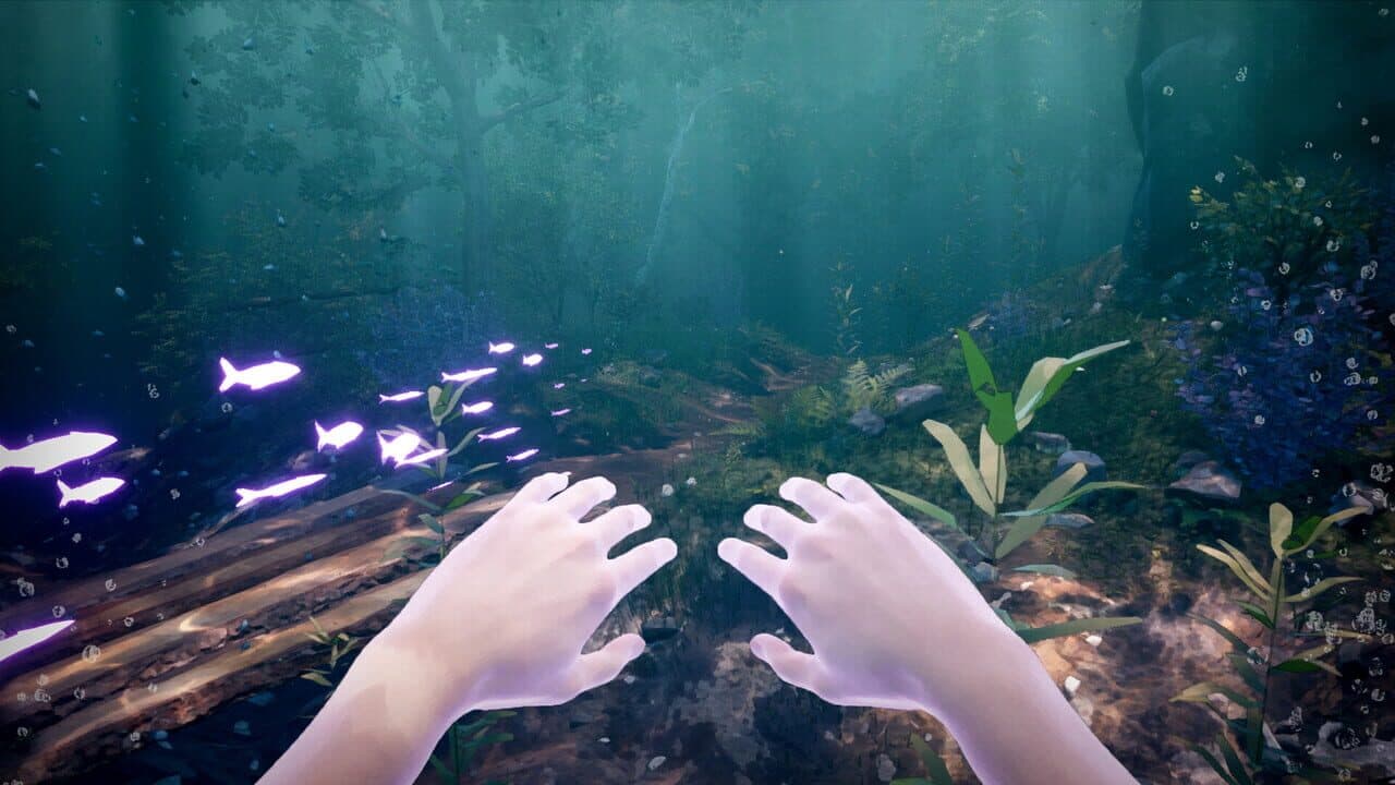 Echoes of Mora thumbnail 7