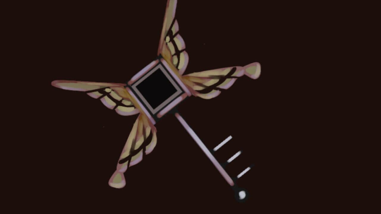 Ameshidama thumbnail 13