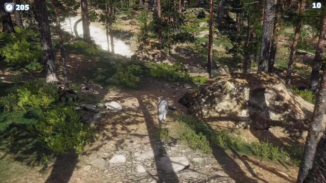Cazzarion: Raccoon Valley thumbnail 3