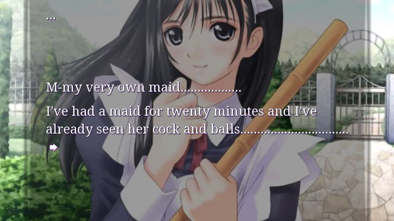 Gay Mukankei: Kidnapping a Maid Has Nothing to Do With Being Gay!! screenshot 1