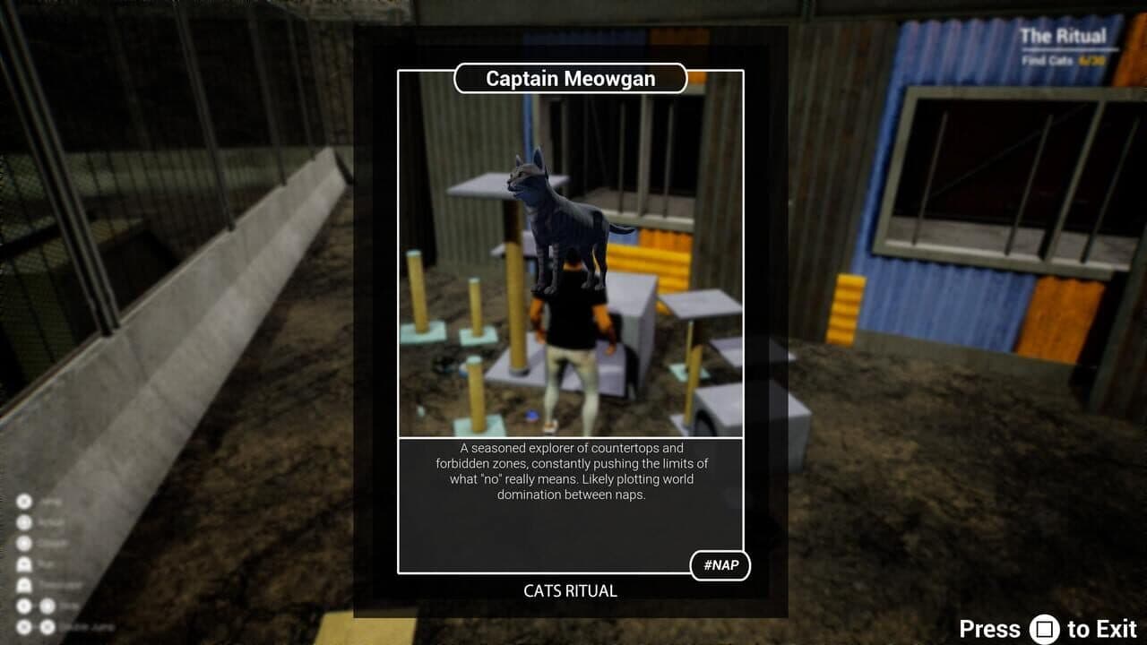 Cats Ritual thumbnail 4