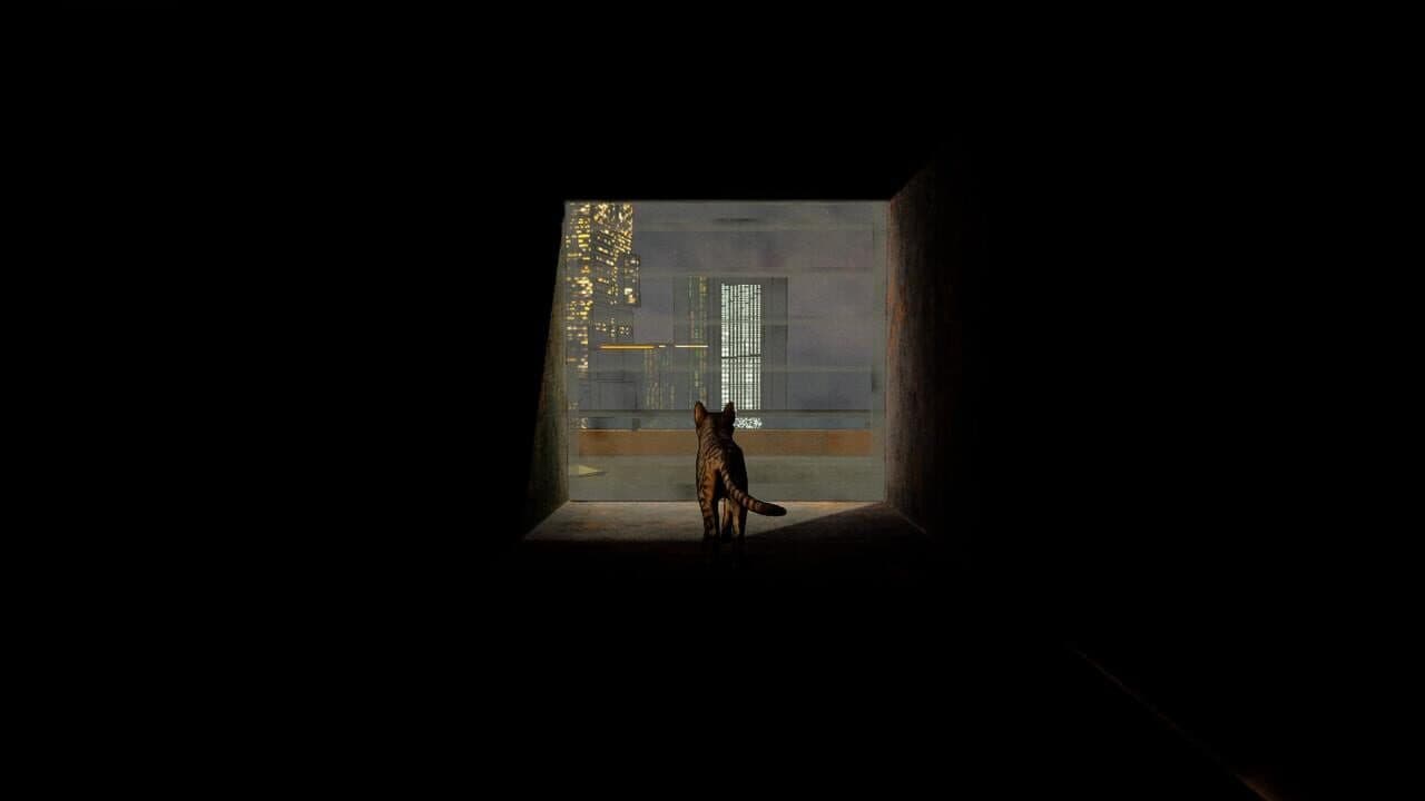 Cats Ritual thumbnail 9