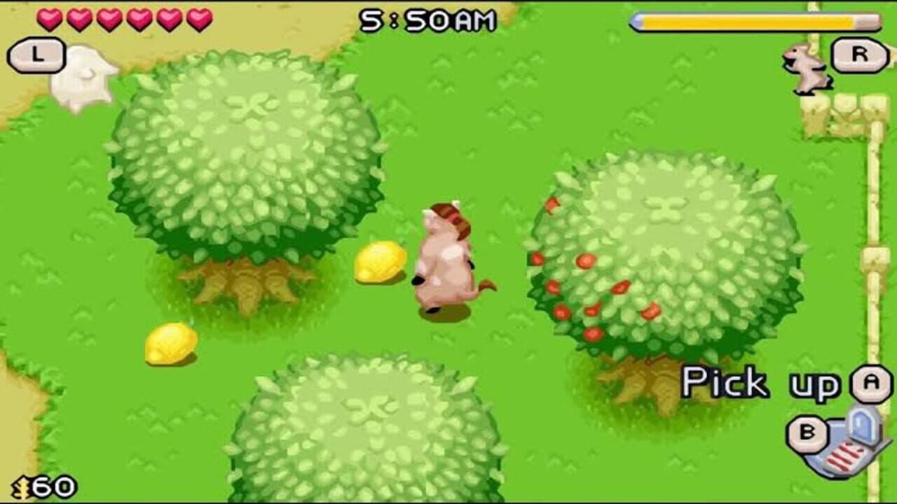 Barnyard thumbnail 20