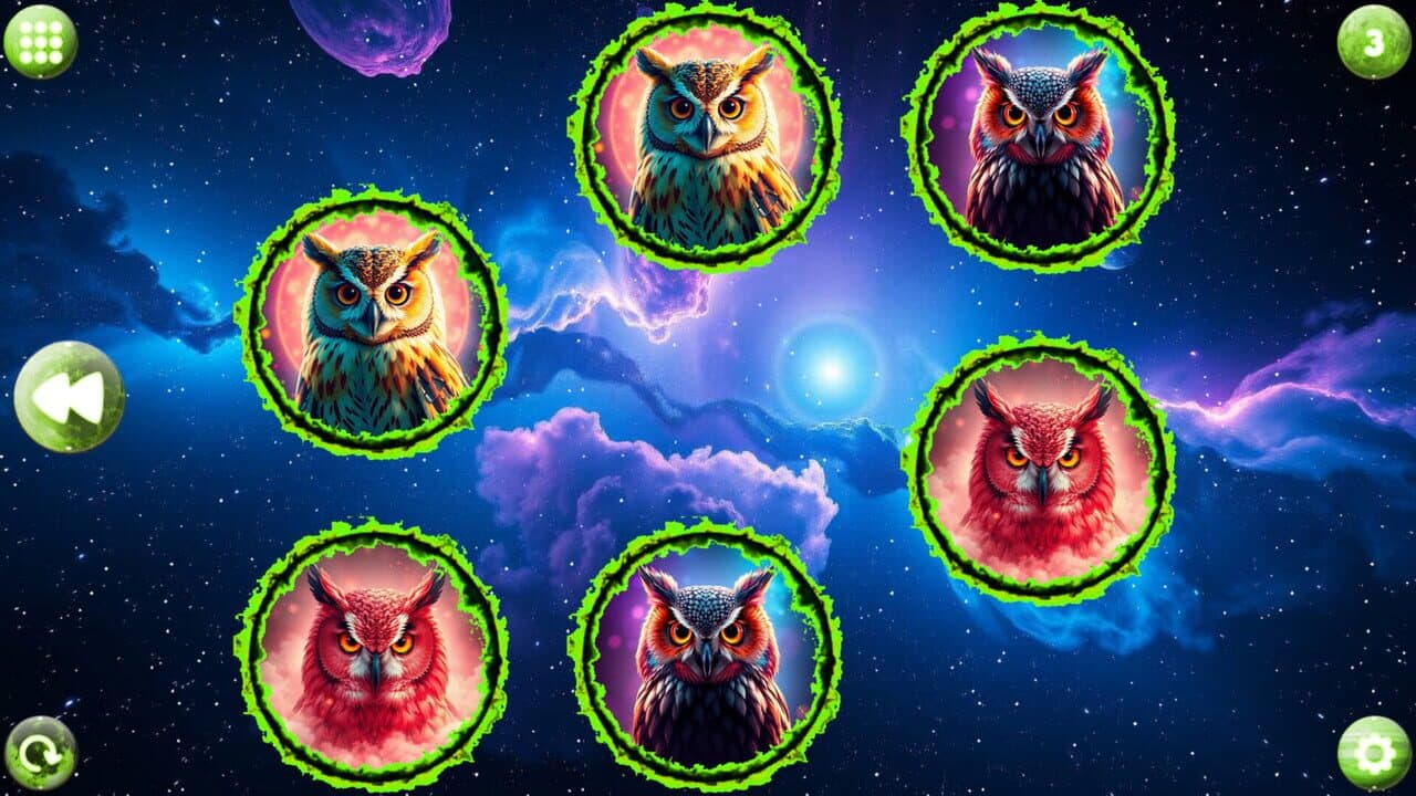 Space Memory: Owls thumbnail 2