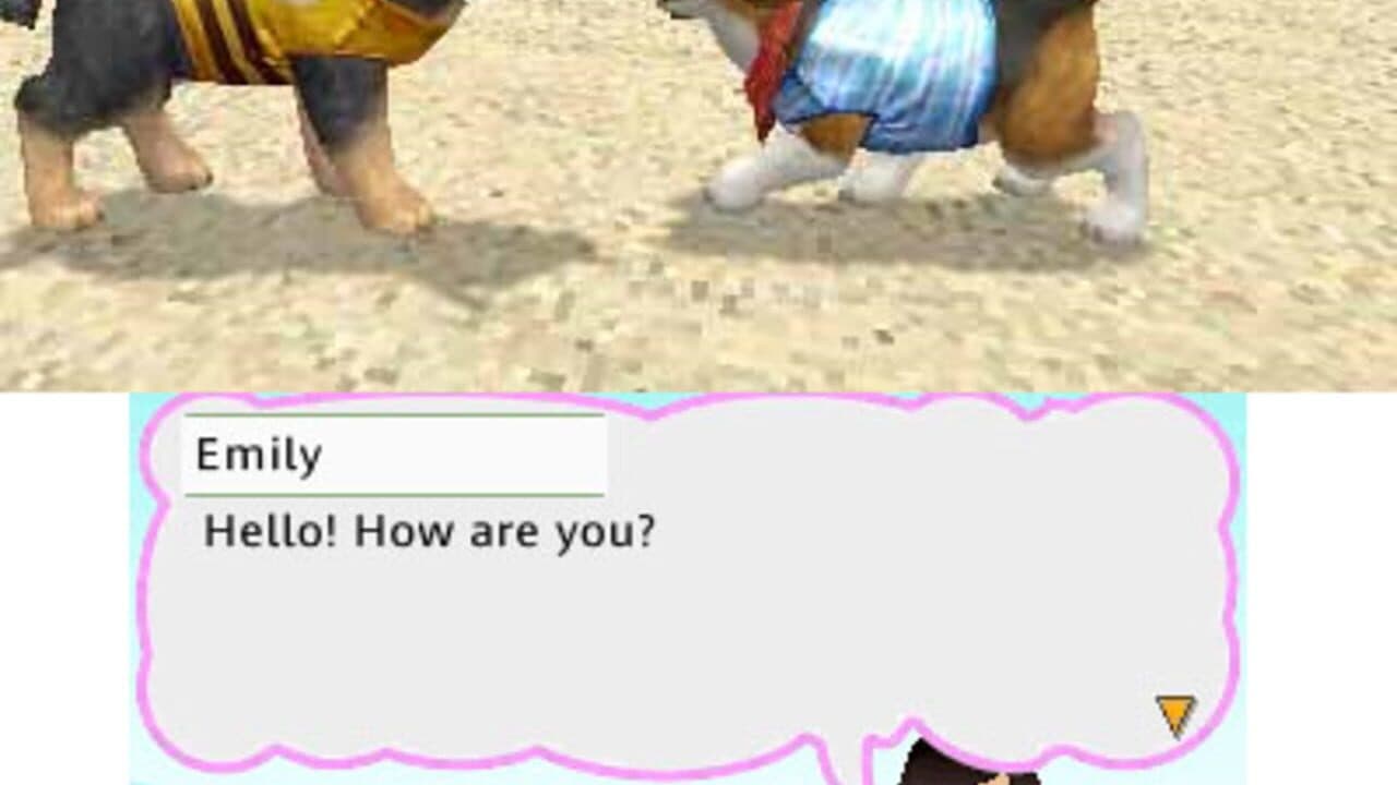 Petz Beach thumbnail 3