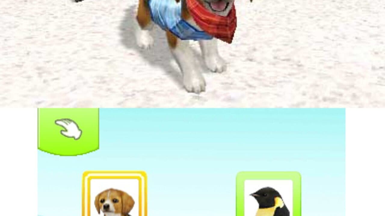 Petz Beach thumbnail 5