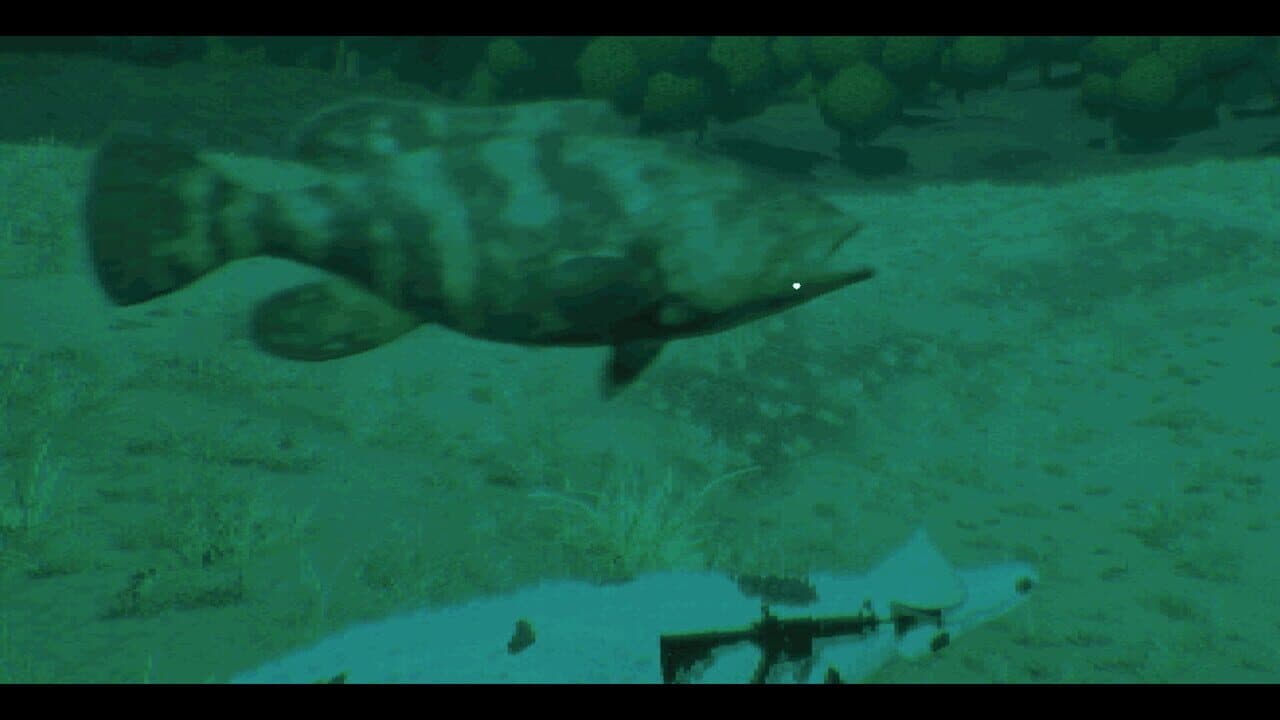 Croc Royale thumbnail 3