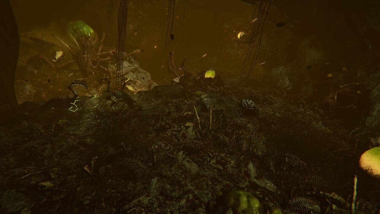 Seeking Dawn thumbnail 5