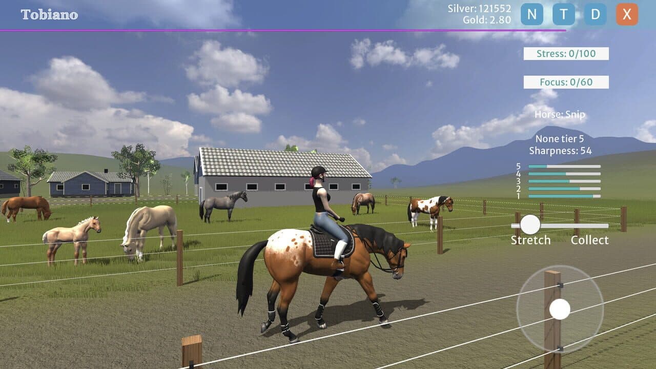 Tobiano thumbnail 3