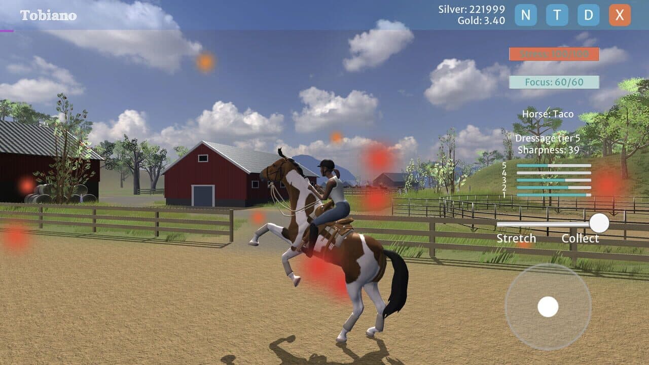 Tobiano thumbnail 4