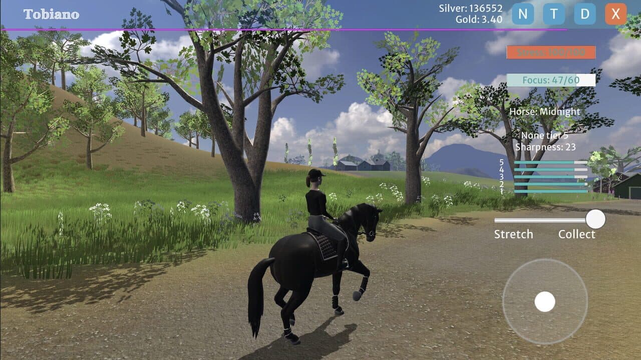 Tobiano thumbnail 5
