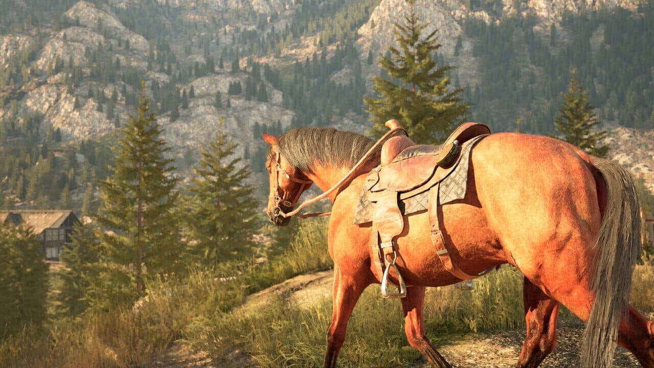 Medieval Horse Simulator thumbnail 3