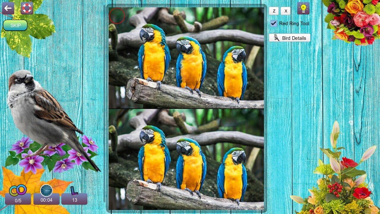 Hidden Pairs 3: Lovely Birds thumbnail 4