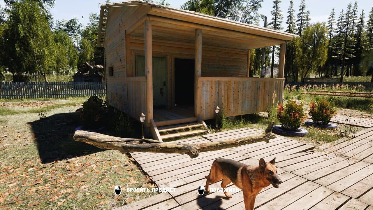 Dacha thumbnail 5