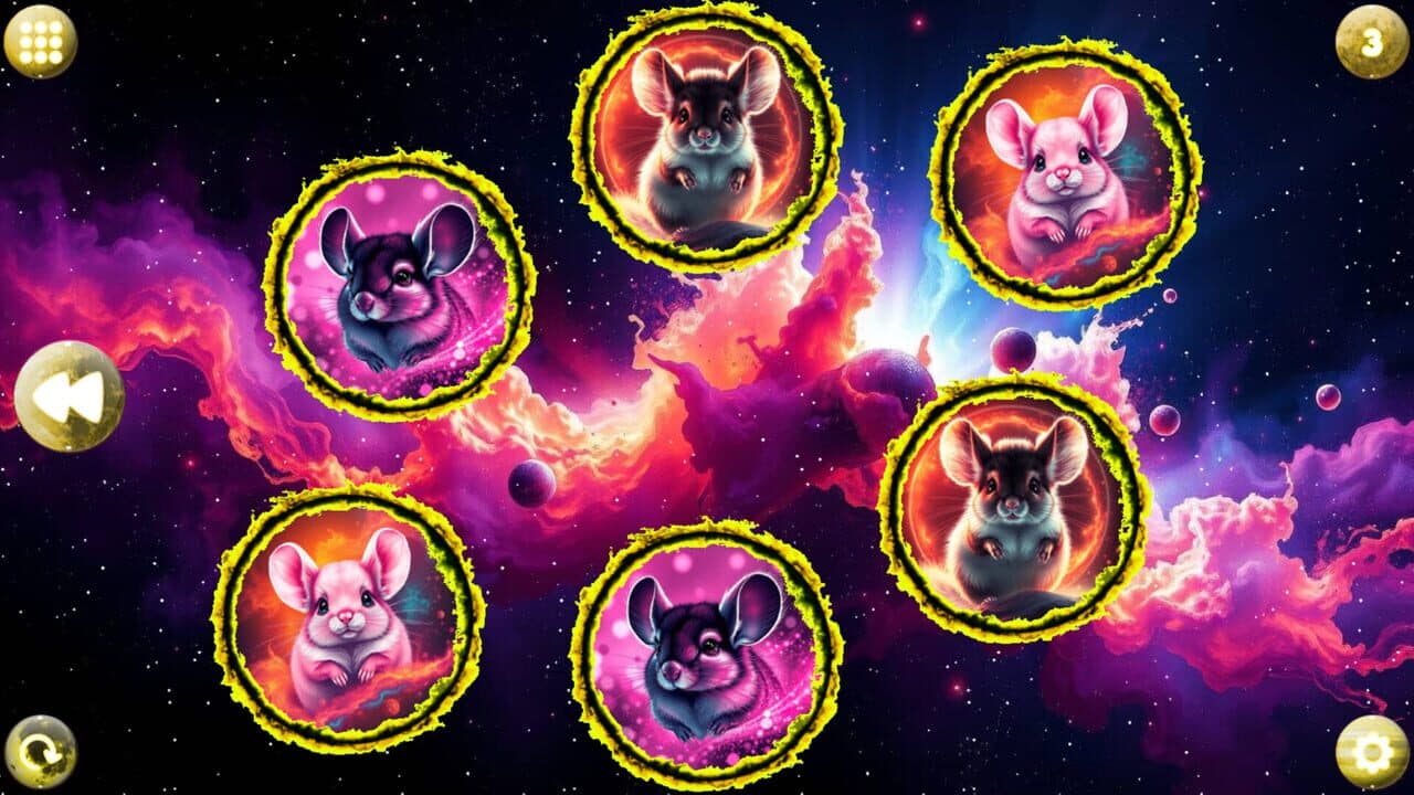 Space Memory: Chinchillas thumbnail 2
