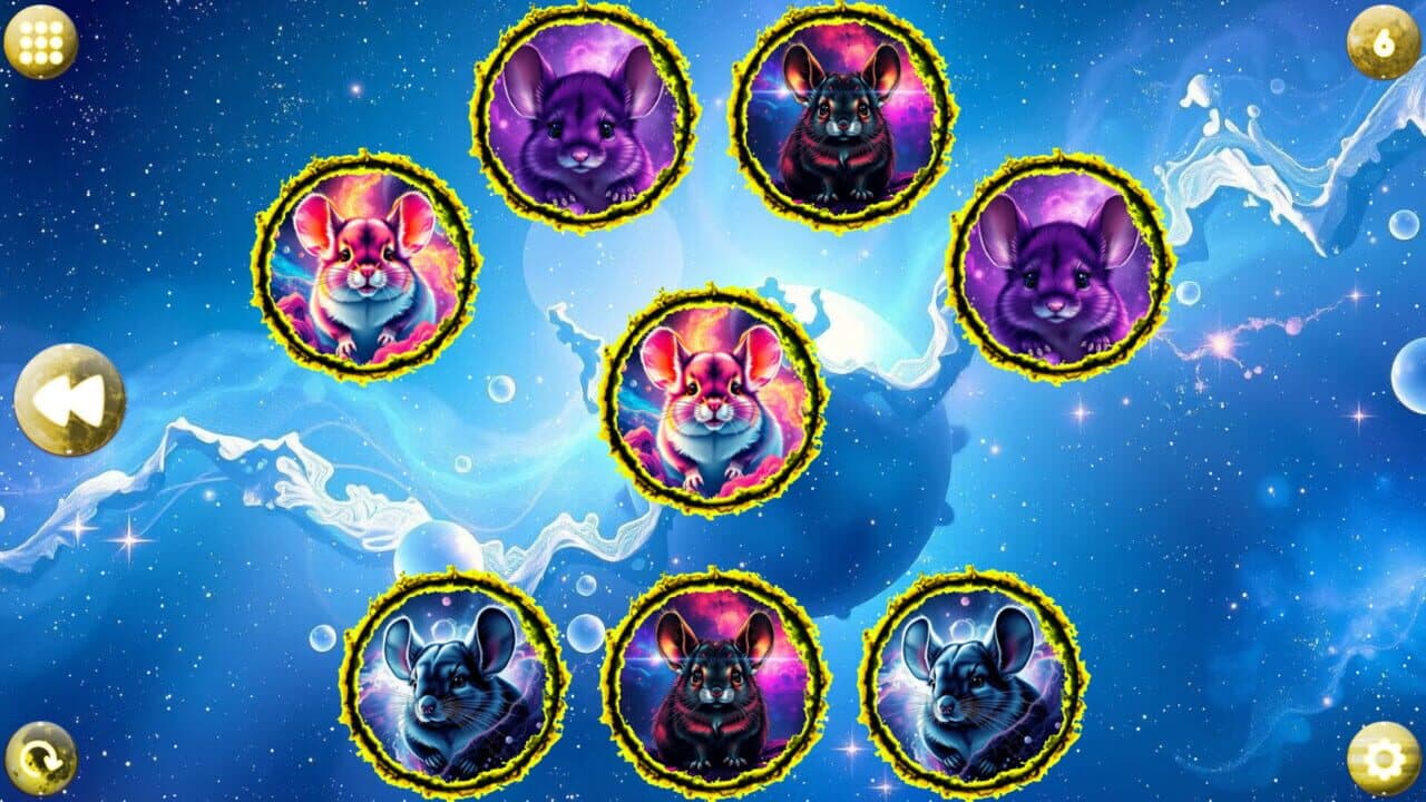 Space Memory: Chinchillas thumbnail 3