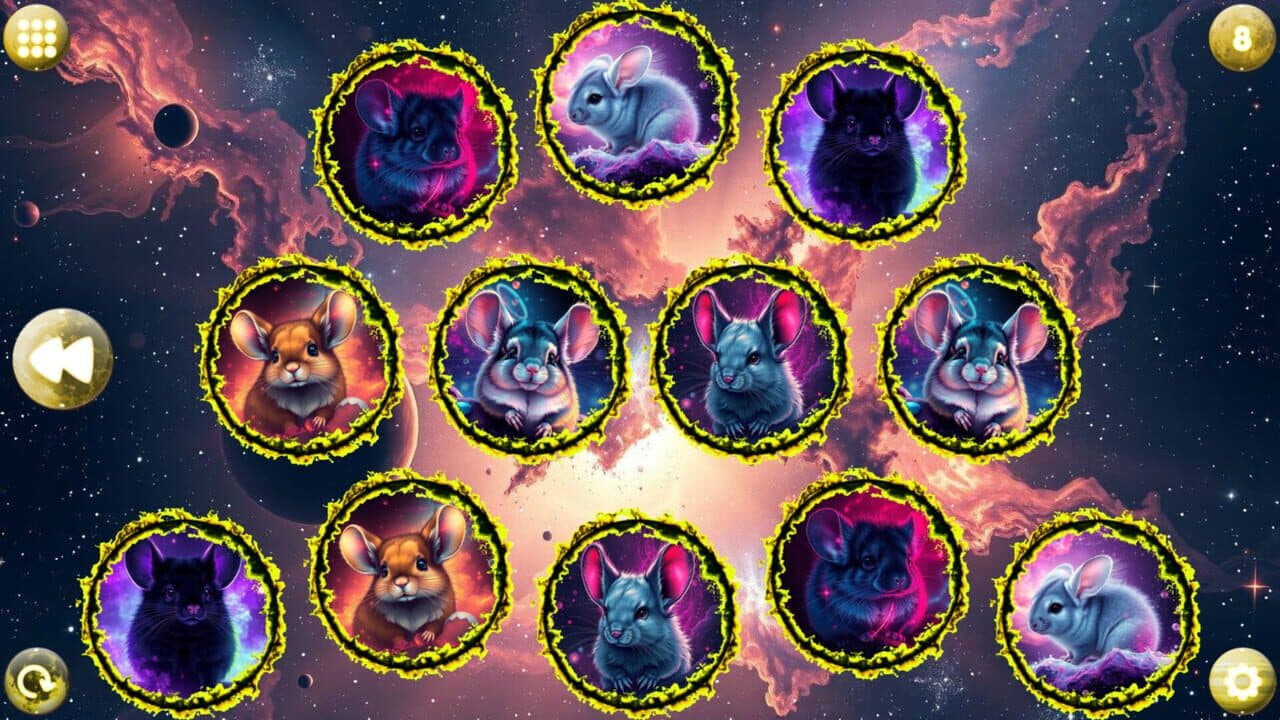 Space Memory: Chinchillas thumbnail 5