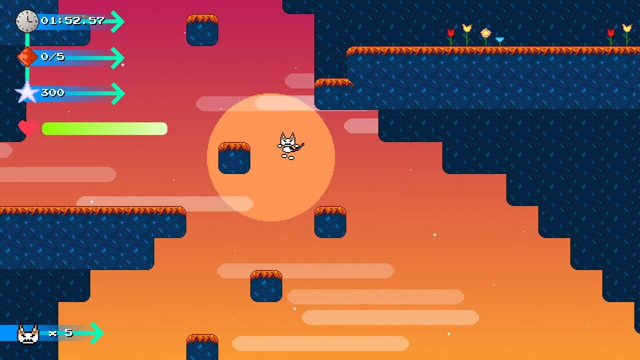 Catto Boi Collection thumbnail 2