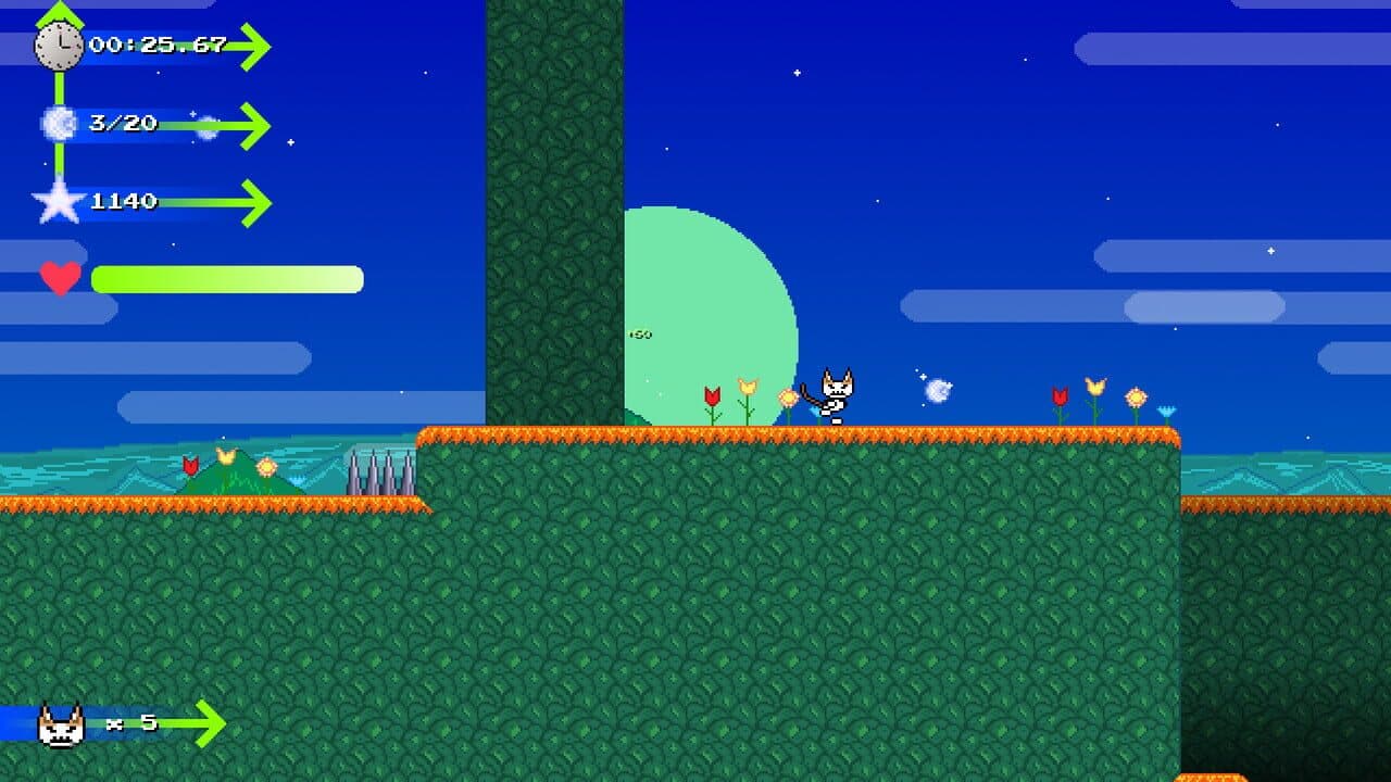 Catto Boi Collection thumbnail 4