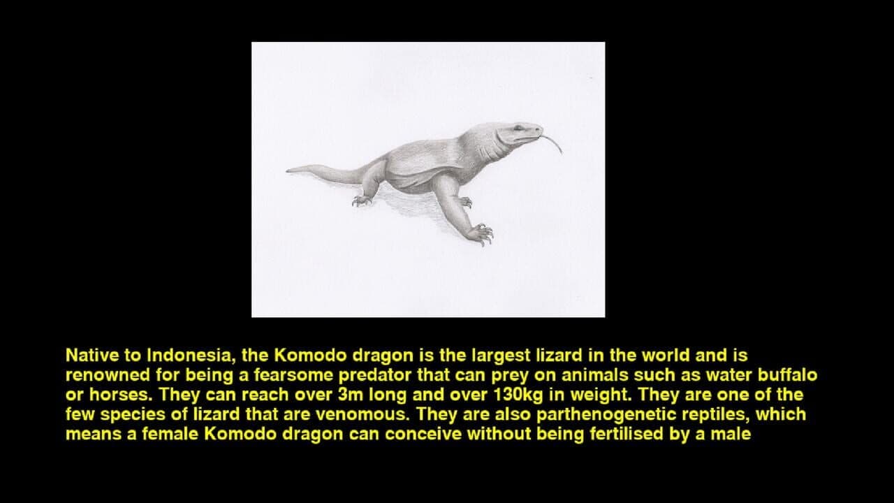 Quiz & Learn: Animals thumbnail 3