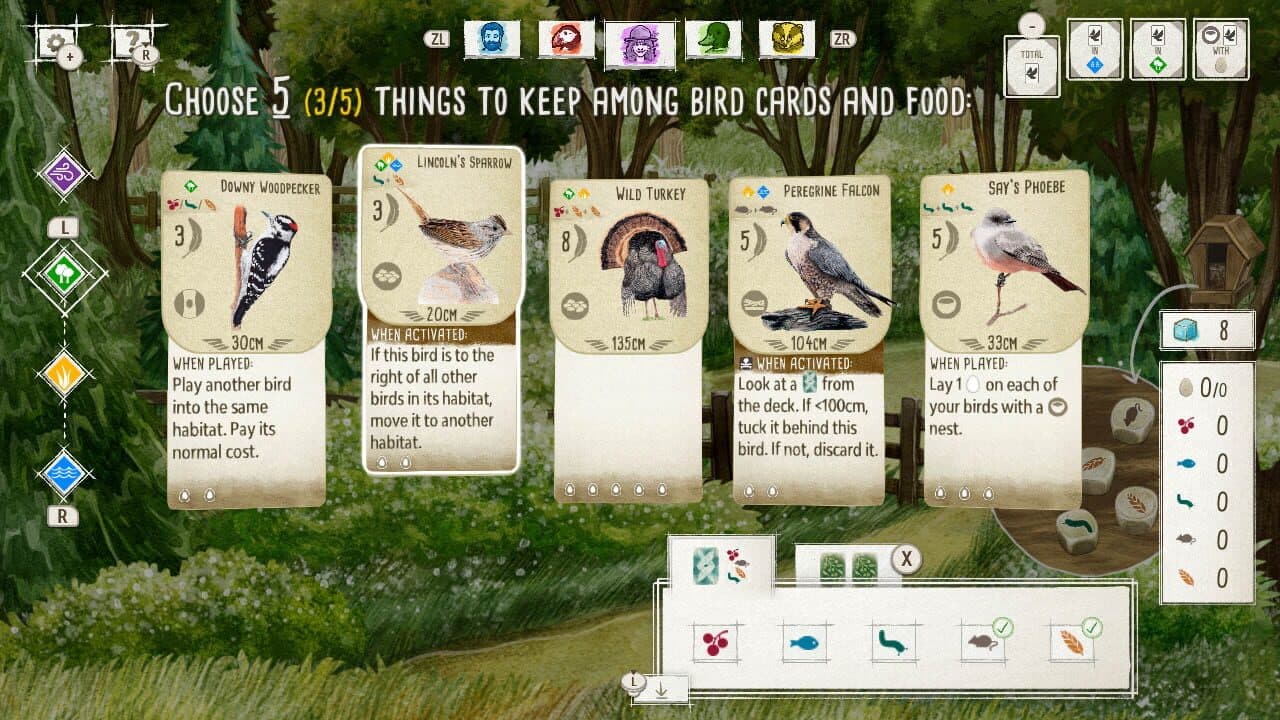 Birds and Cats thumbnail 2