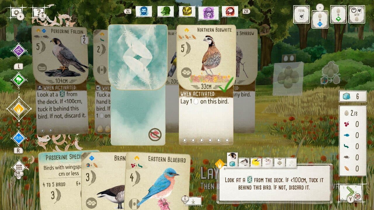 Birds and Cats thumbnail 3