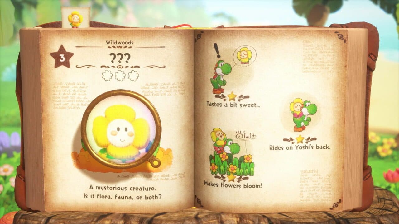 Yoshi and the Mysterious Book thumbnail 6