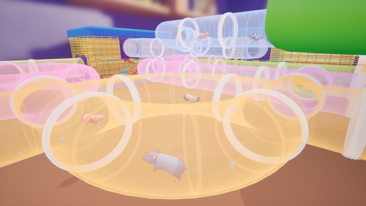 Hamster Hustle thumbnail 7