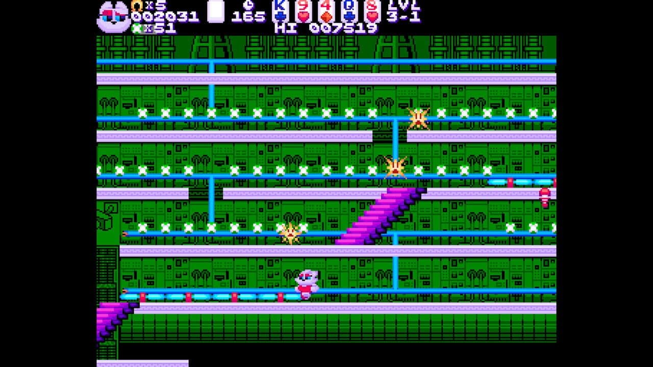 Black Cat Bundle screenshot 1