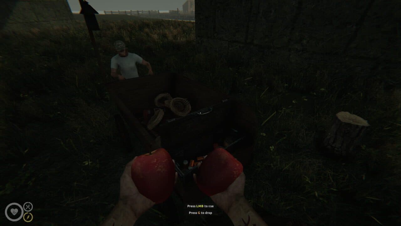 Mazebound: Hunt, Gather, Run! thumbnail 4