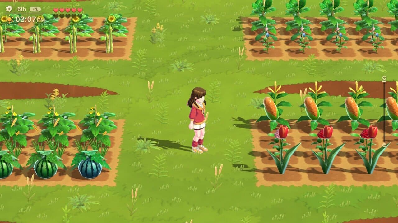 Harvest Moon: Home Sweet Home Special Edition thumbnail 4
