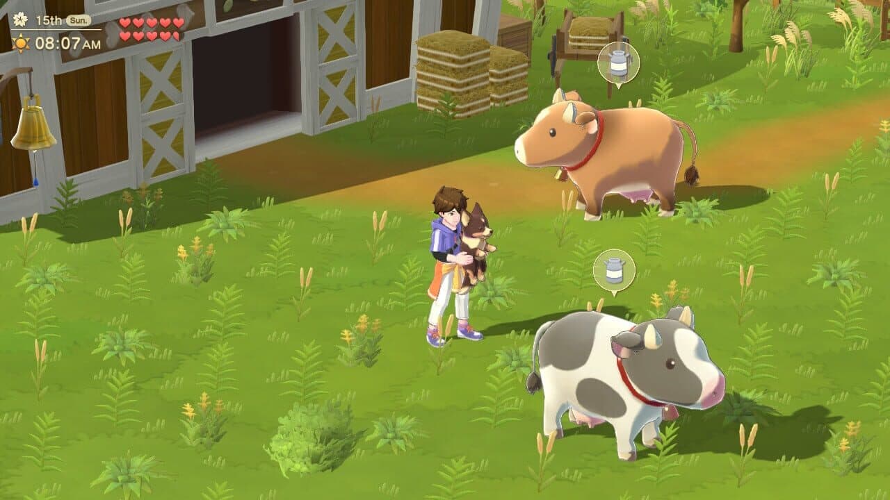 Harvest Moon: Home Sweet Home Special Edition thumbnail 3