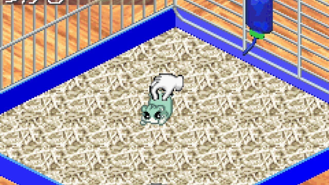 Hamster Monogatari 3 GBA thumbnail 2