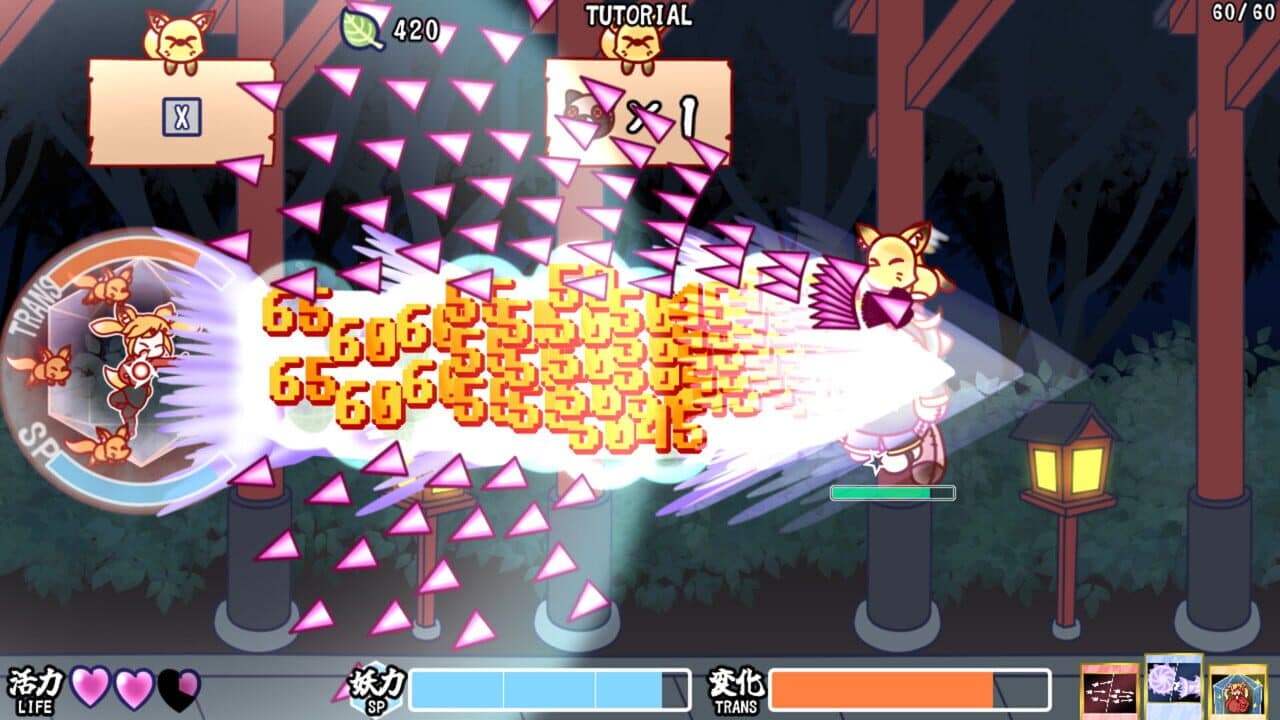 Fox Flare Night thumbnail 5