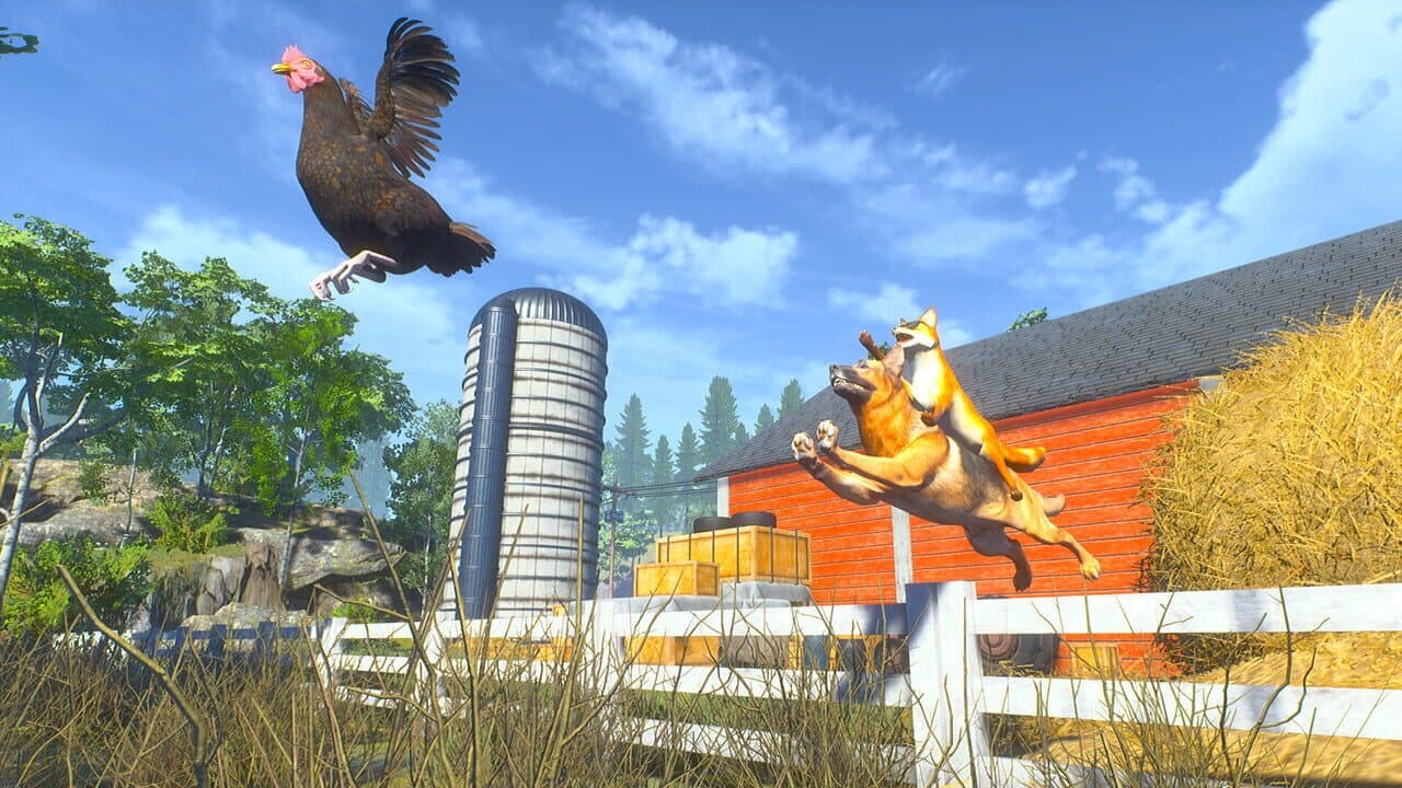 Chill Fox thumbnail 6