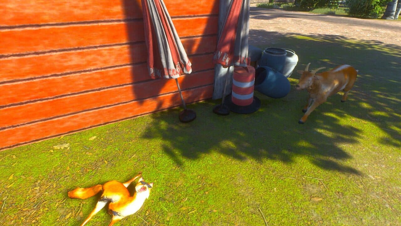 Chill Fox thumbnail 2