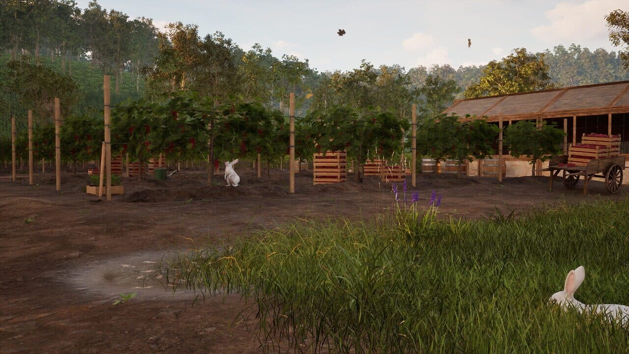 Winemaker Simulator thumbnail 10