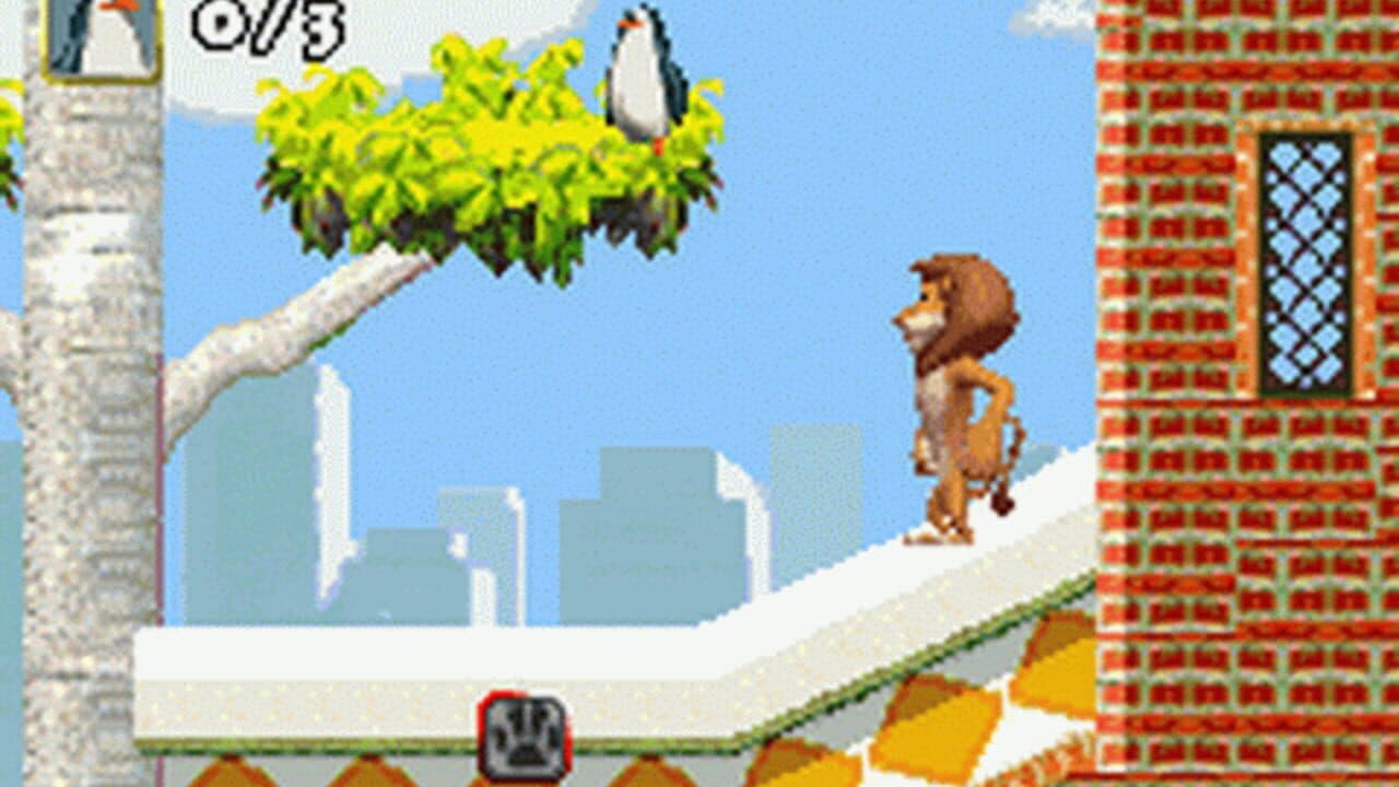 Madagascar thumbnail 3
