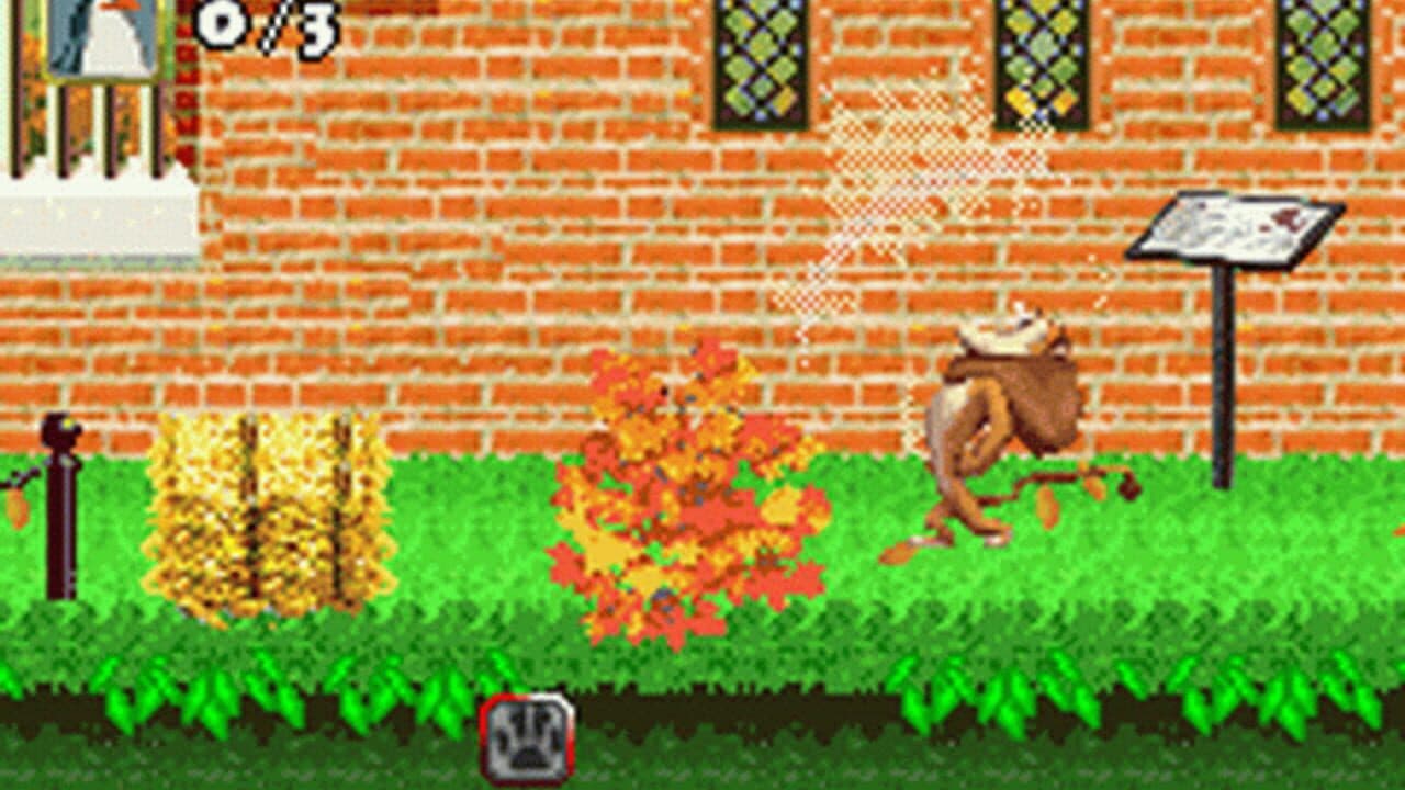 Madagascar thumbnail 4