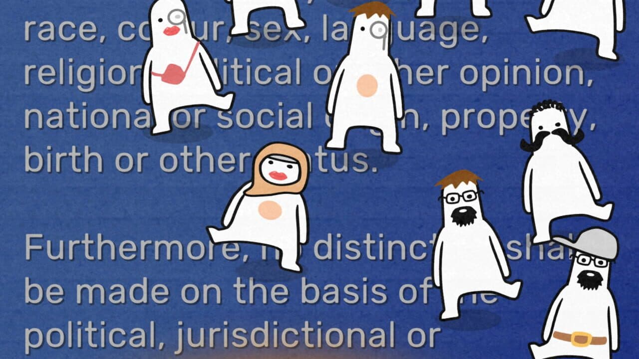 Undeclaration of Human Rights thumbnail 2