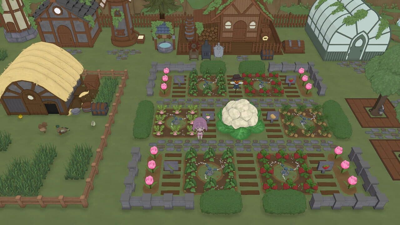 Story of Leaves thumbnail 5
