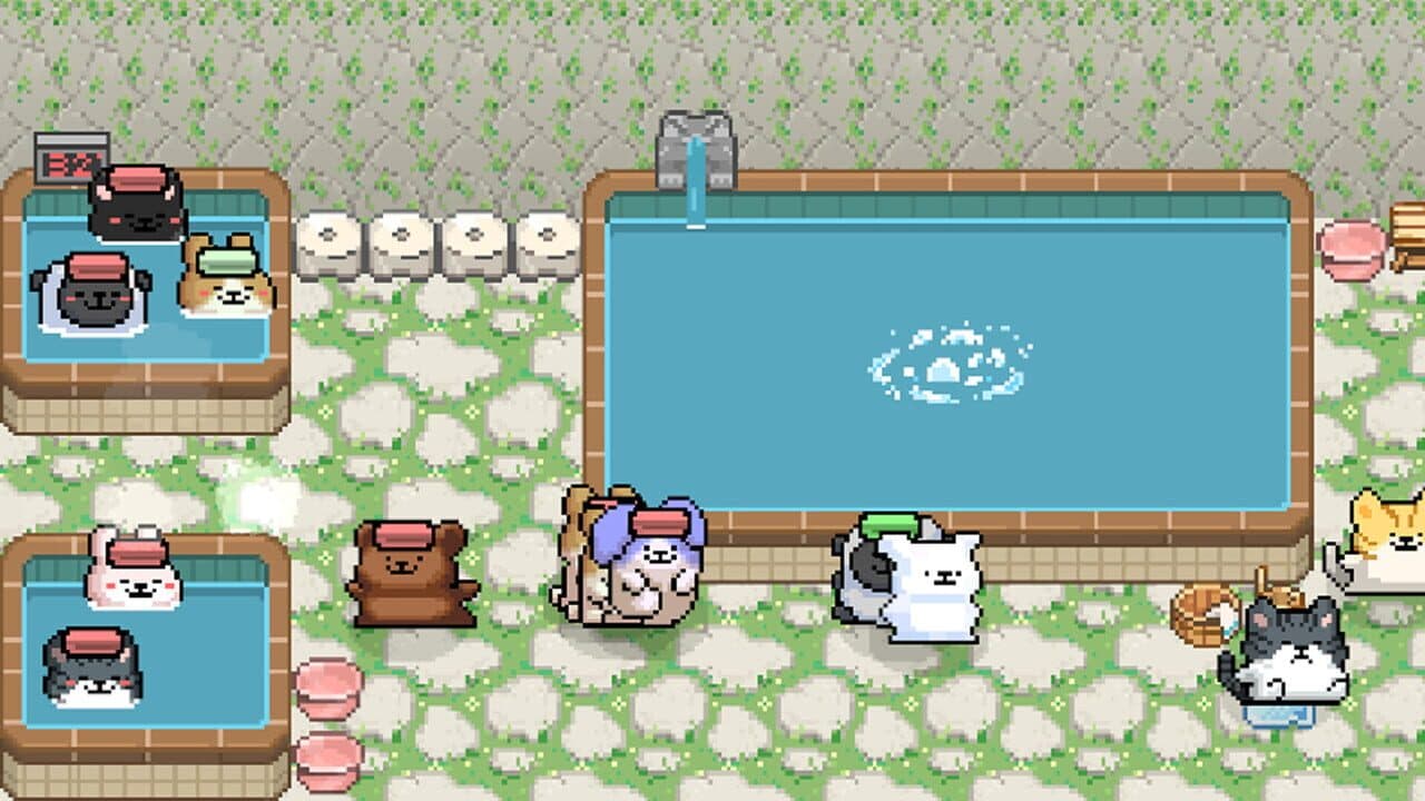 Maltese's Fluffy Onsen thumbnail 5