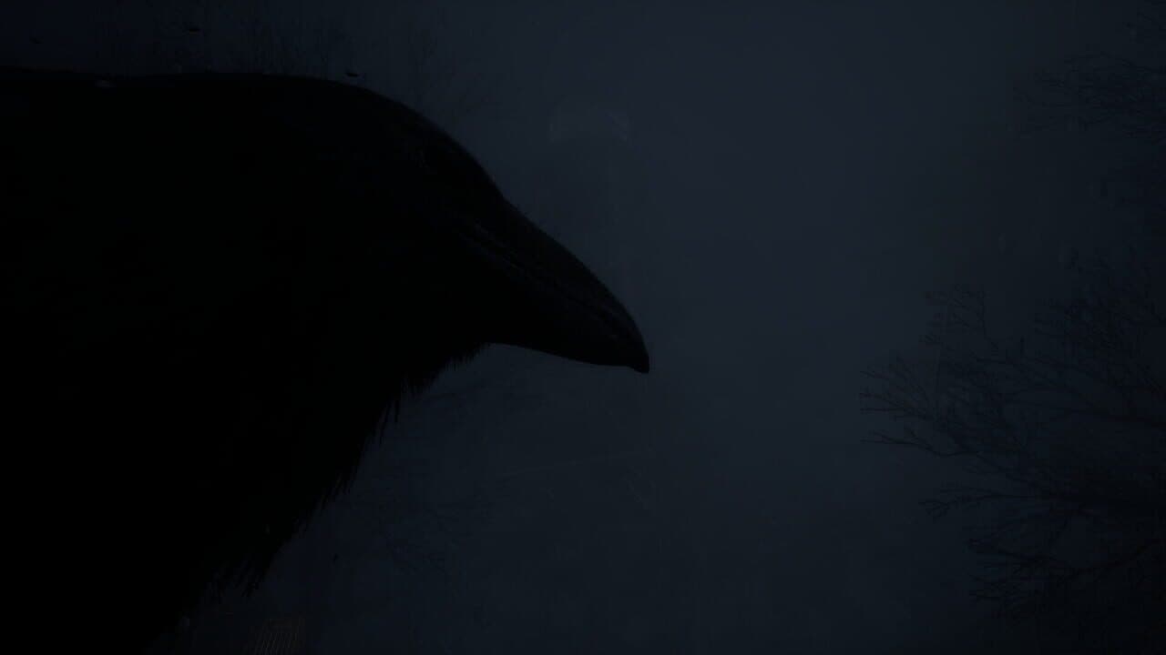 The Butcher's Village thumbnail 9