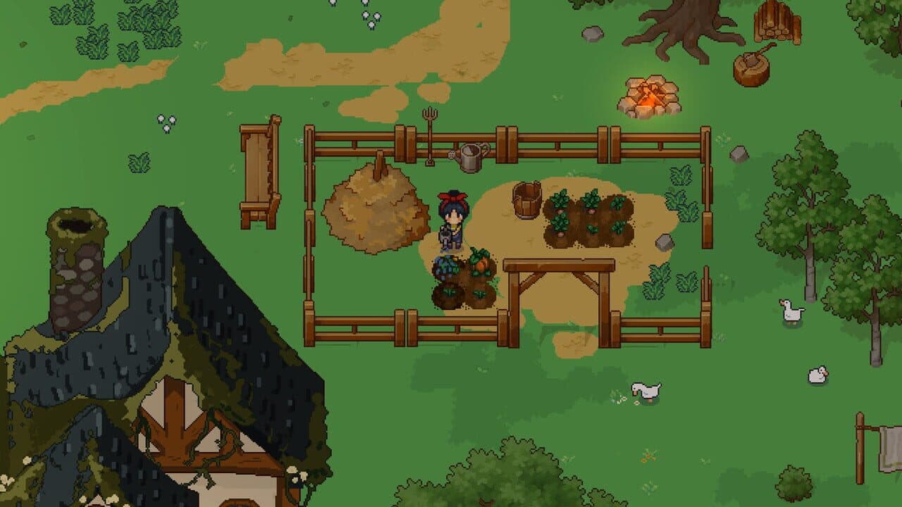 Everbrew thumbnail 3