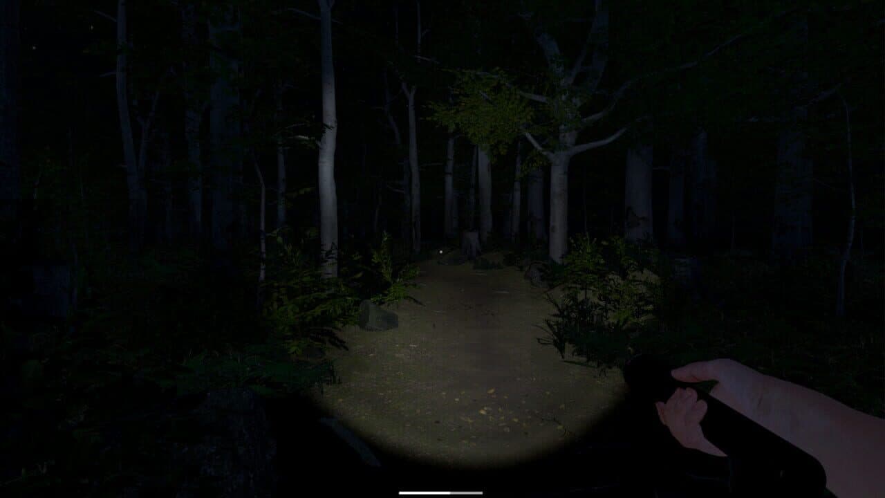 The Greys: Human Abductions thumbnail 11