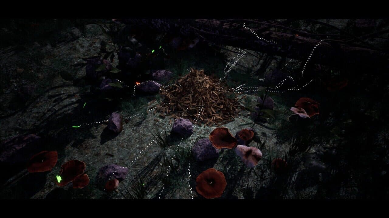 Soilborn: Ant Empire thumbnail 2