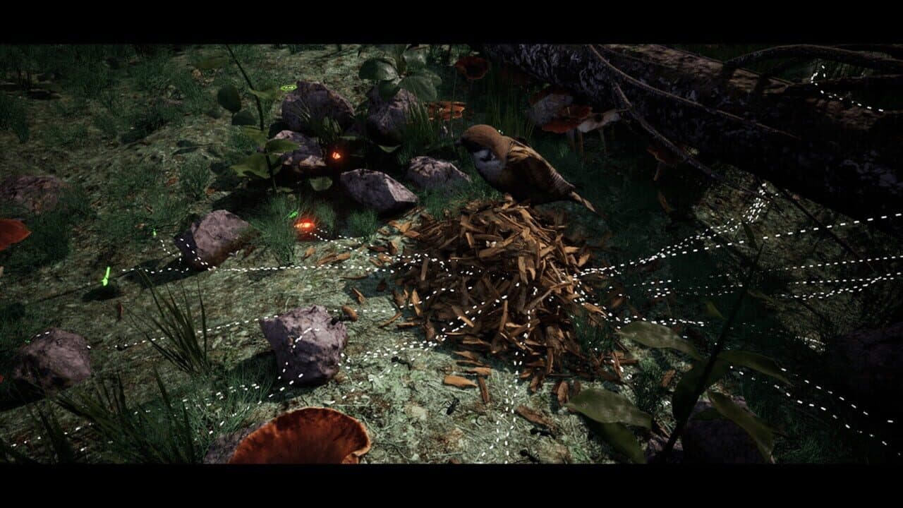 Soilborn: Ant Empire thumbnail 3